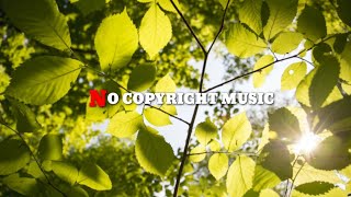 free background music for youtube videos || vlog background music non copyrighted || #vlogmusic