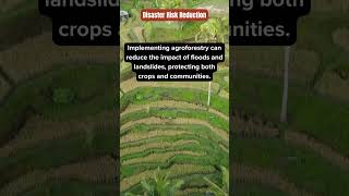 🛡️ Disaster Risk Reduction: Protecting Agriculture and Communities 🛡️