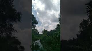 #banglasongs #mahtimshakibsong #viral #viralvideo #healingmusic #sky #villagelife