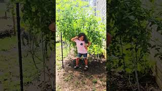 My youngest helper in the garden #children  #cherrytomatoes #gardenerslife #momlife #love