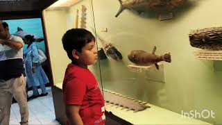 Tour inside the Indian Museum #history  #musuem #tour #viralvideo #shorts 