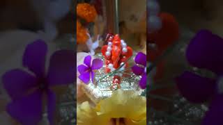 Shree Ganesha 🙏#ganapati_bappa_status #ganapatibappamorya #deva  #ganeshchaturthi #shortvideo