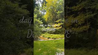 lil vlog 🌳 went kayaking and went on a trail then saw fireflies!! #vlog #delaware #trail #kayaking
