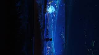 This Is 4K Anime - YOUR NAME  #shortsfeed #shorts  #subscribe