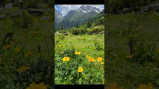 Xinjiang: China’s Swiss Paradise in 4K – Alpine Meadows & Crystal Lakes