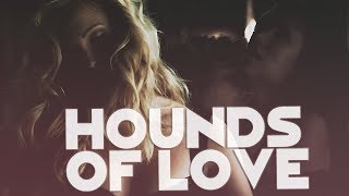 Hounds Of Love ►| Vampire Diaries Style