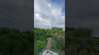 Sopno jabe bari
