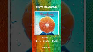 Mandarin-A Taste of Childhood  #NostalgicVibes #ChildhoodMoments  #InstrumentalJourney #PoeticVideo