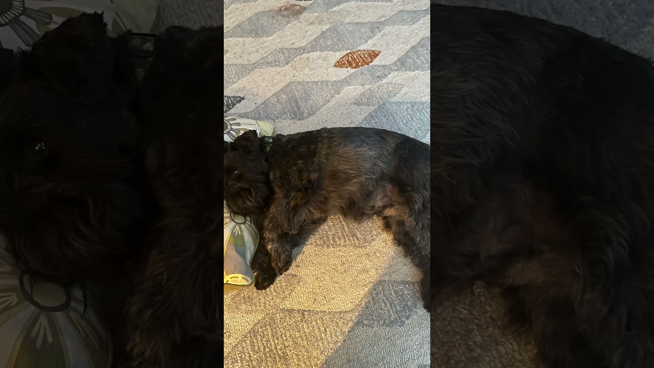 サムネ