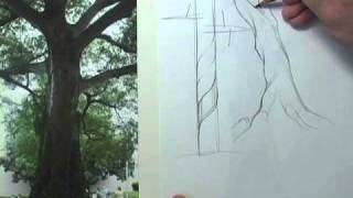 Drawing A Tree with Character - Podcast Fifteen