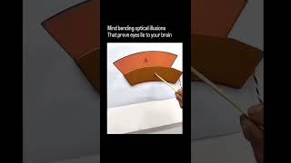 Mindblowing optical illusion that can confuse your brain illusion trick #illustration #illutionvideo