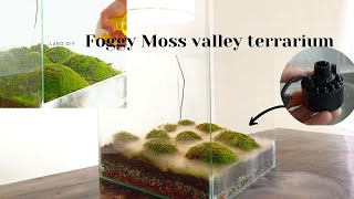 how to make a foggy moss valley terrarium with a mist maker|  paludarium| aquaterrarium