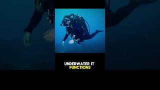 A Buoyancy Control Device (BCD) helps divers manage buoyancy using an inflatable bladder.