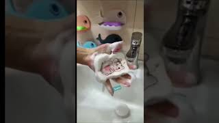 multipurpose  scrub#kitchenutilities#dailyuseitems#cleaningbrushes@ataw