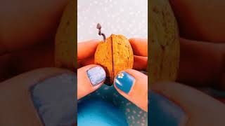 Walnut fairy home !! #You Must Know #viral story #Wonderbot