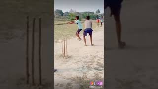 The funny galley cricket