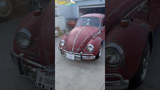 1967年式ルビーレッドGTVについてみんなが質問しています！67年式バグのEMPIパーツがさらに追加されました #vw #empi #gtv #vwbug #project