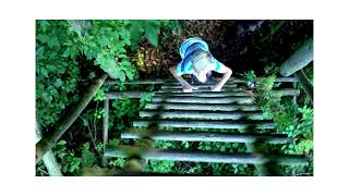 Climb the Ladder: A Polyvagal Journey to Calm, Connection, and Healing