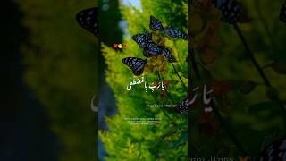 New Islamic What'sapp status video❤️ |  Whatsapp status 2023 | #shorts #viral