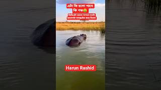 সবাই চ্যানেলটা সাবস্ক্রাইব করে পাশে থাকুন #dance #egzonibrahimi #song #happy #Harunrashid