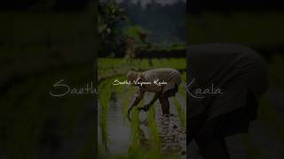 #love #hitcollection #lovemusic #bollywood #songcollection #lovesong #tamilsong #romanticmus#couple