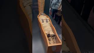 REAL Egyptian Mummy 😳 #egyptianmuseum #ancientegypt #museum #ancient #history #old #mummification