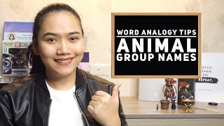Word Analogy and Vocabulary: Animal Group Names - Civil Service & #UPCAT Review