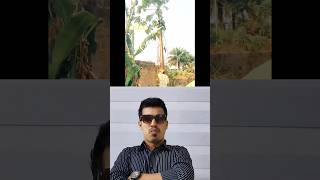 Try Not To Lough 🤣 Funny Video #shorts #funny #youtubeshorts #viral