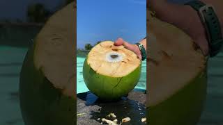 कैसे पता करें किस नारियल में ज्यादा पानी निकलेगा। #coconut #shorts #short