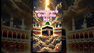 সত্যি কি আপনার আঙ্গুল টা পচে যাবে#islamicstatus #shortsvideo #alhamdulillah #কুরআন#islamic
