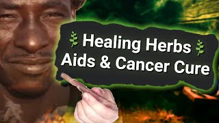 Online Witch Doctors