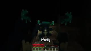Minecraft, But I'm the Warden #shorts