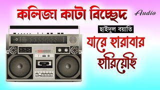 কলিজা কাটা বিচ্ছেদ | যারে হারাবার হারিয়েছি এই না জীবনে | ছাইদুল বয়াতি