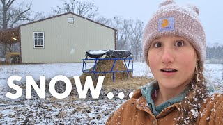 Keeping 60+ Animals warm during 5 Degree Weather With a FARMERS' DAUGHTER