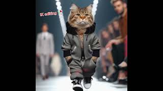 Watch out,fashion world! This purrfect model is strutting down therunway#CatwalkQueen#FashionFeline"