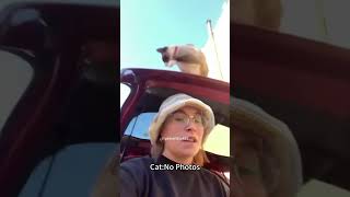 Cat and car 🤣#cat #funnyanimal #funny #funnycat #funnyvideo #funnypet