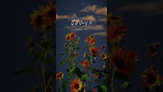 #bollywood #hindisong #love #song #movie #banglalof #সব #banglasong #fouryou #unfrezzmyaccount