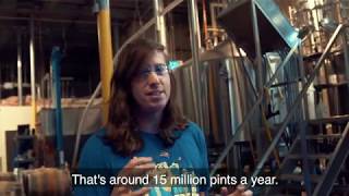 From Humble Beginnings: A Behind the Scenes Look into the Funky Buddha Brewery