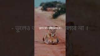 - 3 words according to psychology । #shortvideo #motivationalquotes8