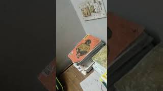 study for ssc till 2 am