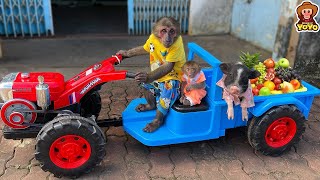 YoYo 프로세스는 할아버지가 원숭이 YiYi를 돌보는 데 도움이 됩니다