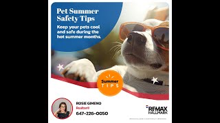 Keep Pets Cool  Safe This Summer #HomeAndPets #RealEstateWithHeart #SafeSummer #realestate # #shorts