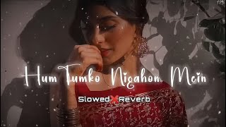 Ham Tumko Nigahon Main |Old hindi Song||Udit Narayan||Shreya Ghoshal||Slowed & Reverb||TPS Lofi 🌼❤️🌼
