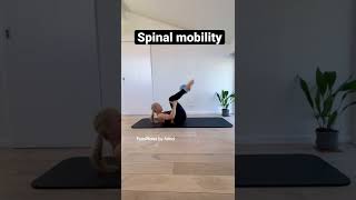 Spinal mobility                                #exercise #spinalmobility #training #backcare