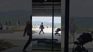 #たねや #滋賀県大津市 #琵琶湖 　#由美浜　#クラブハリエ