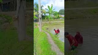 #song #love #haryanvisong #unfrezzmyaccount #entertainment #newsong #bailobibahsong