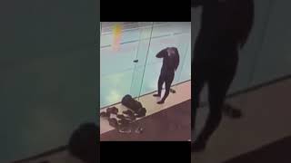 ビックリ　ドッキリ　仰天　動画