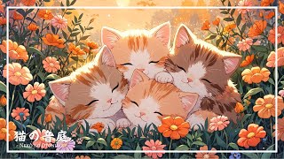 【二度寝BGM】朝方気持ちよく眠る子猫たちのヒーリングピアノ | Healing Morning Piano with Sleepy Kittens Perfect for Back-to-Sleep