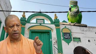 Hindu ne Masjid band kar di phir Tote ne Azan Di | World Best Azan | Bolne wala Tota |Talking Parrot