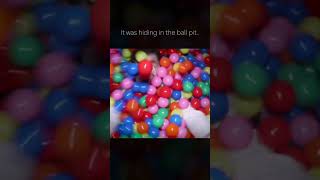 He was hiding in the ball pit 😨